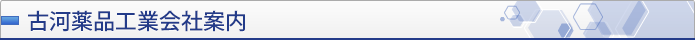 古河薬品工業会社案内